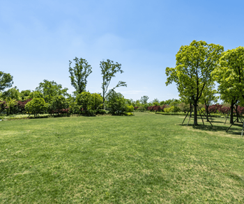 Parks nearby